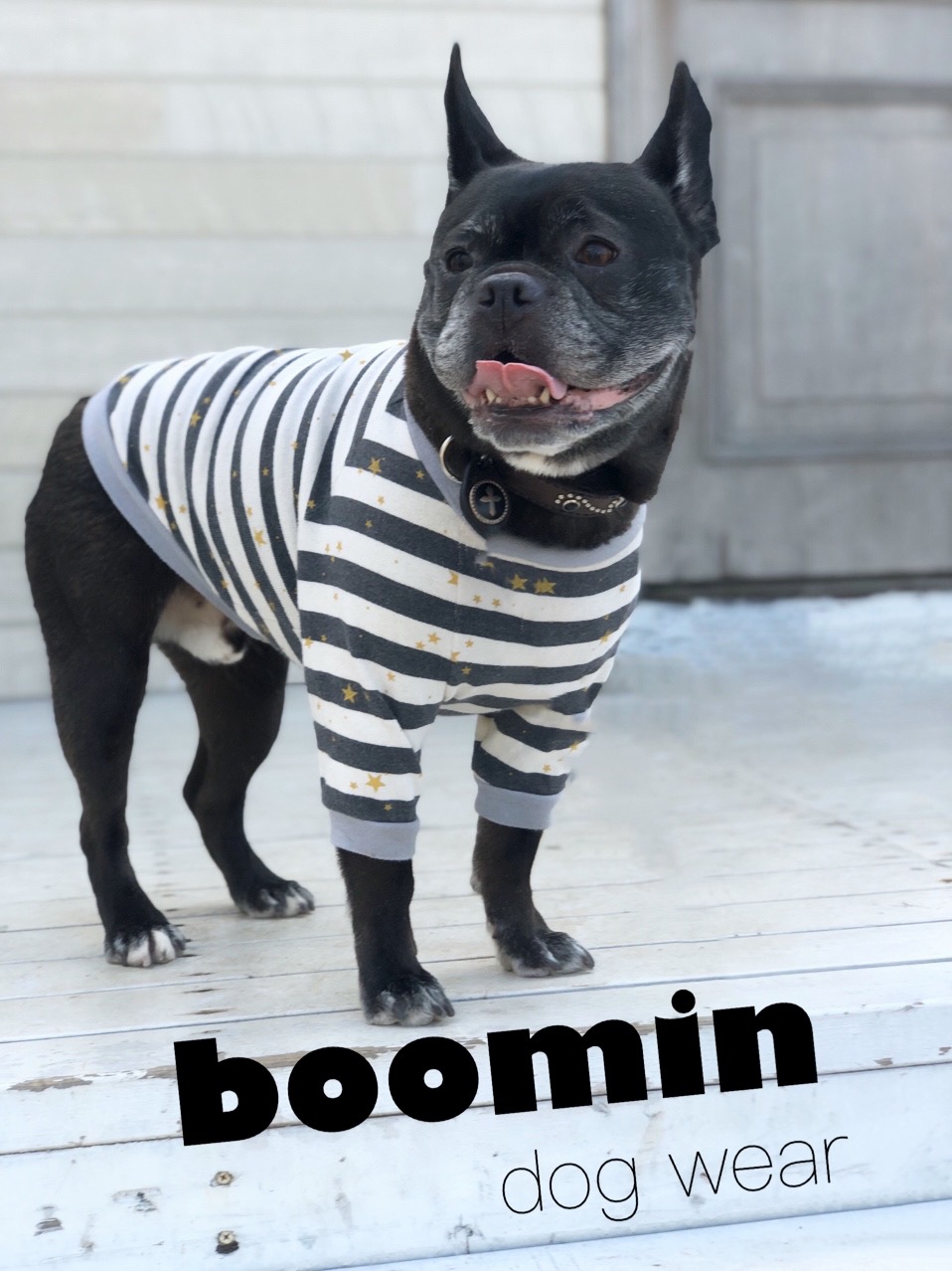 boomin dog wear