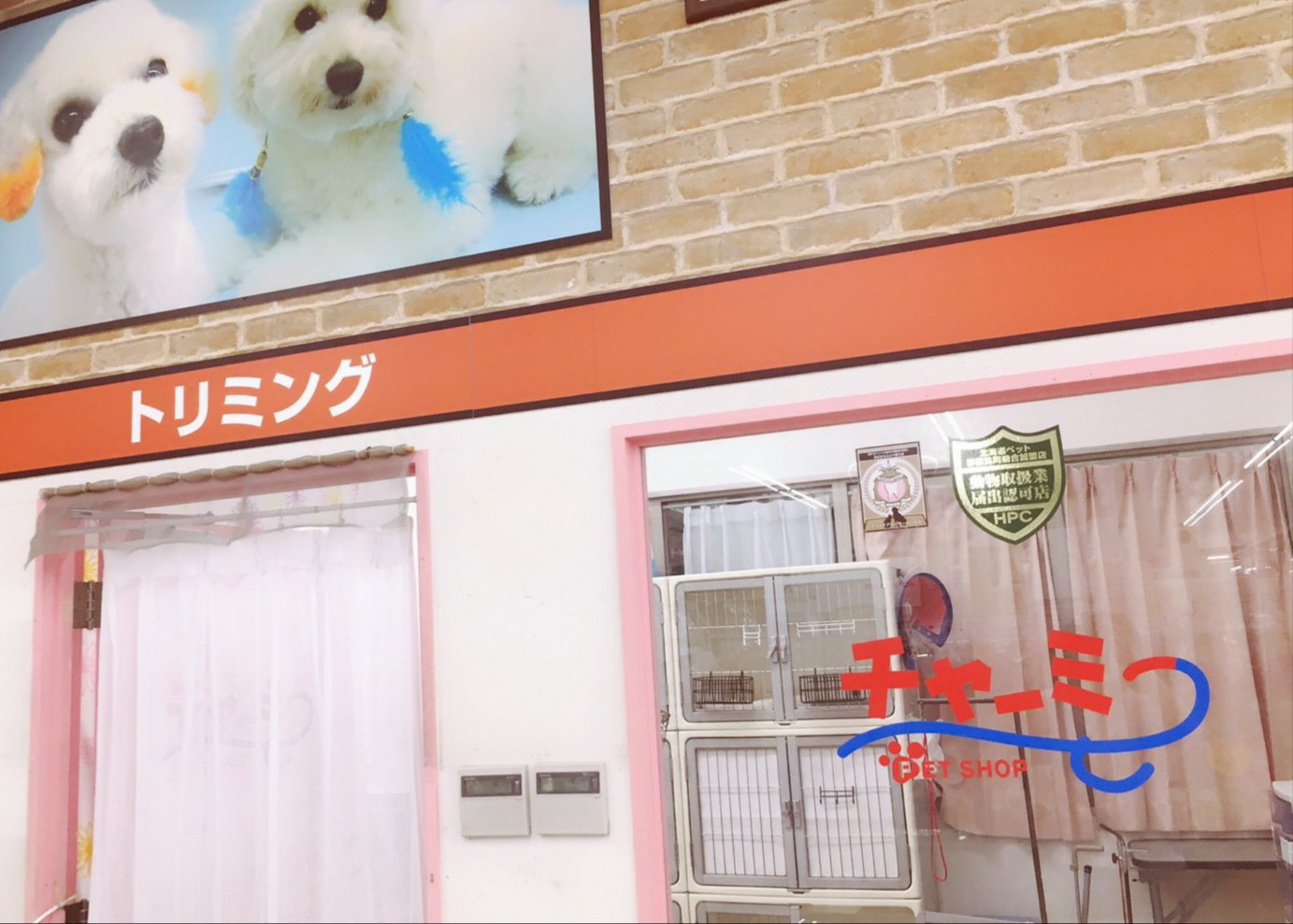 店舗詳細 Petshop Charmy