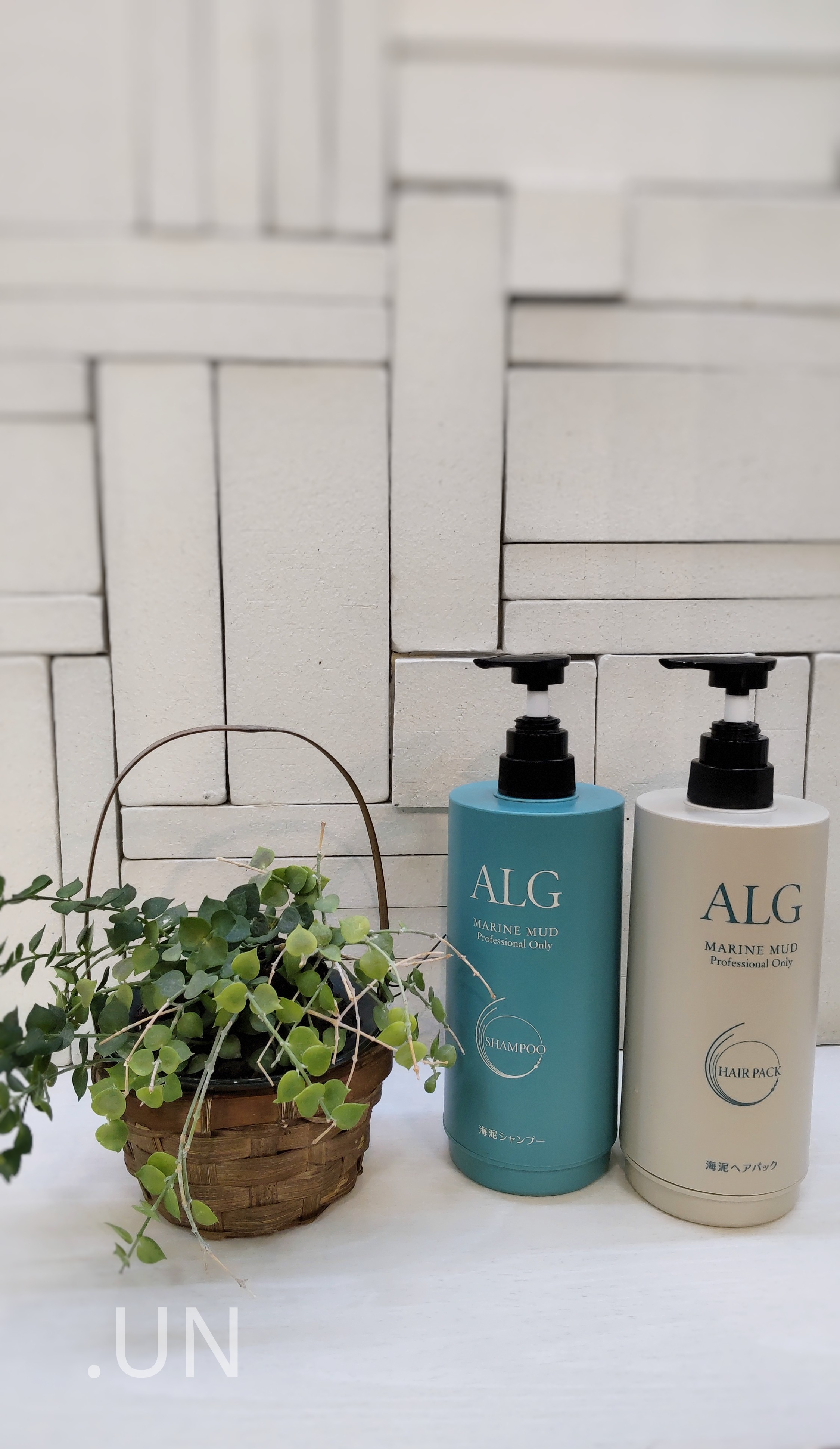 ALG 海泥シャンプー🌊 | 【美容室】古市駅前 徒歩3分 .un