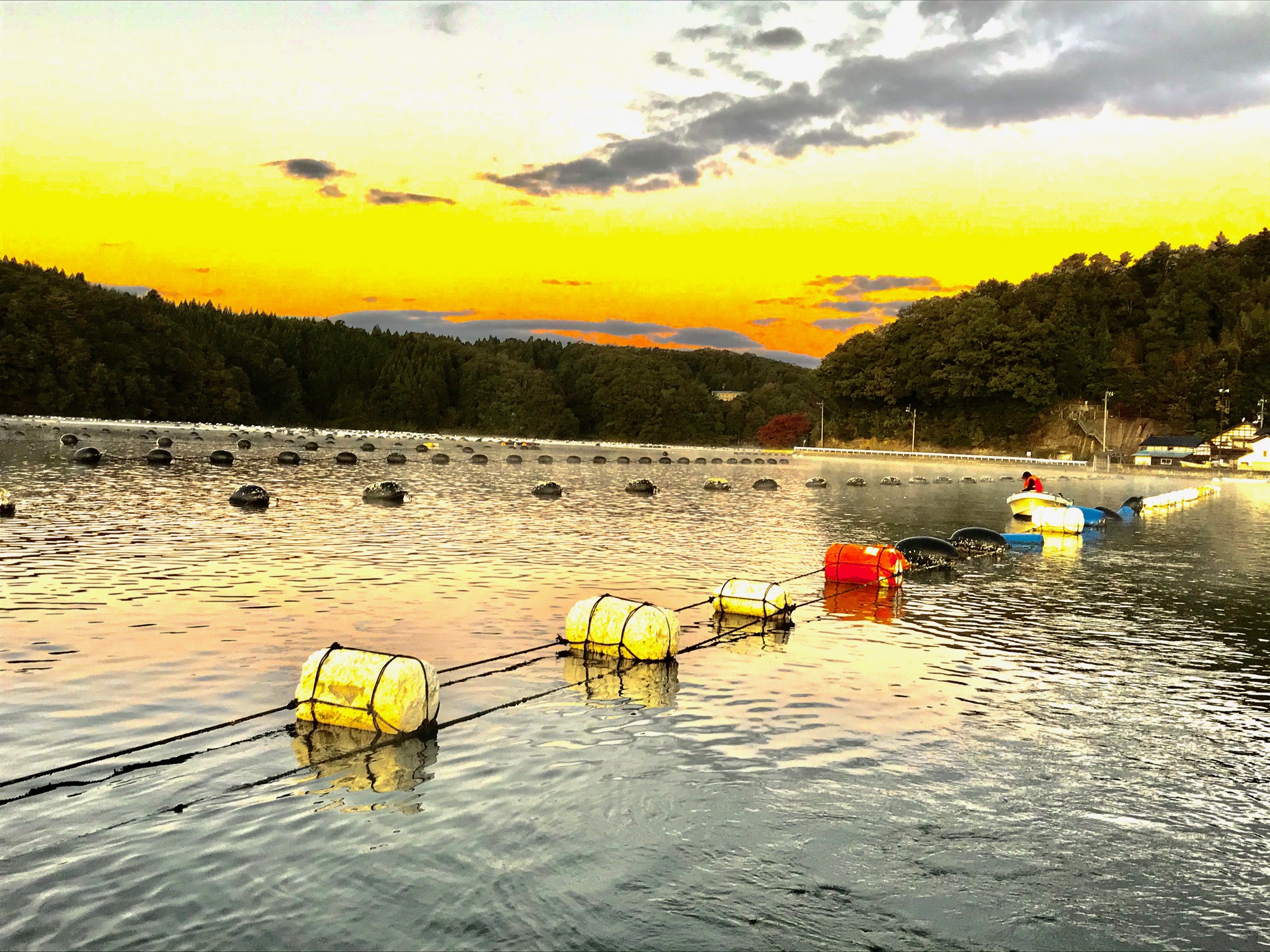 穴水 カセ釣り イカダ釣り 義祥丸渡船