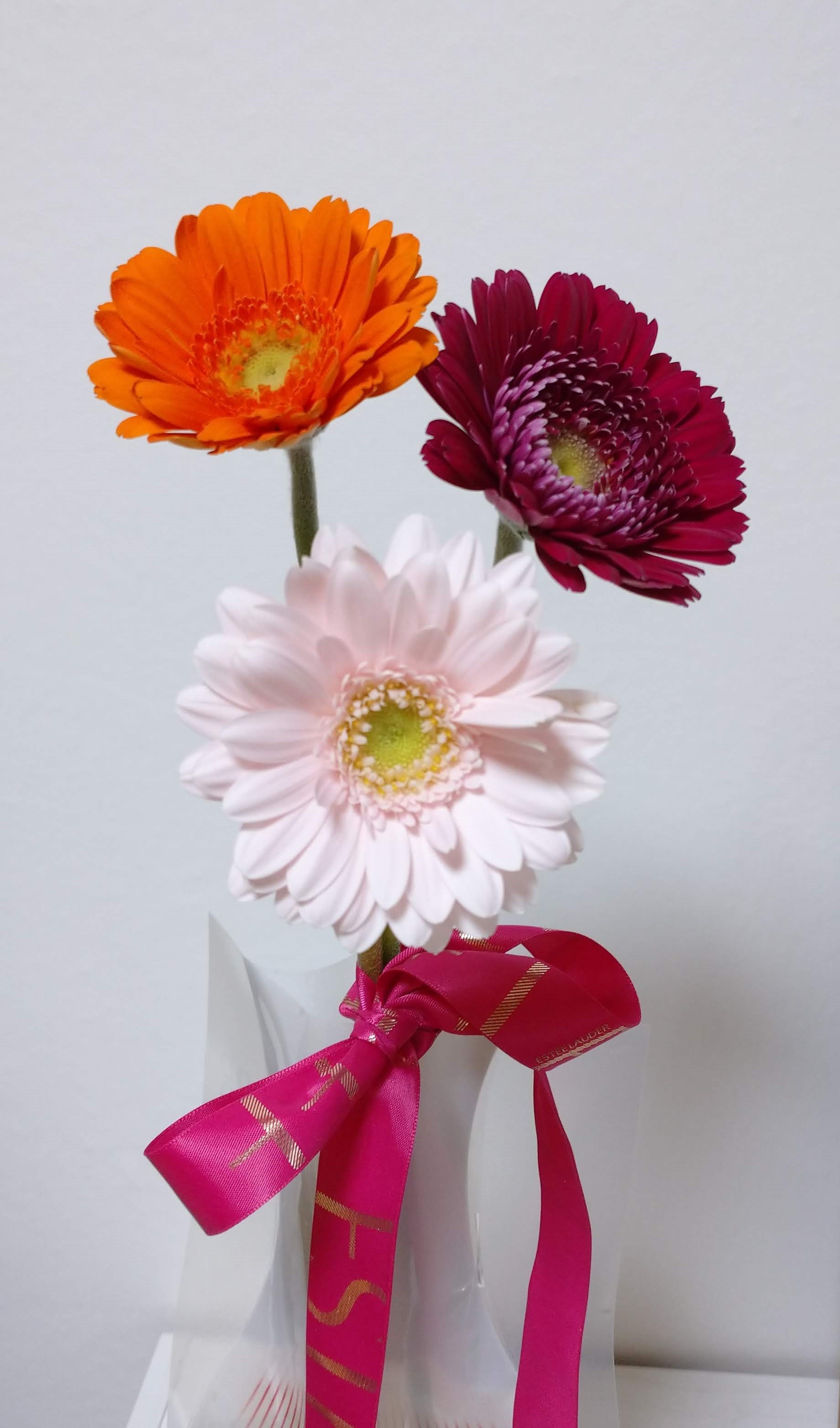 個人企業主を応援しています 体質改善エステ ビエル掛川店