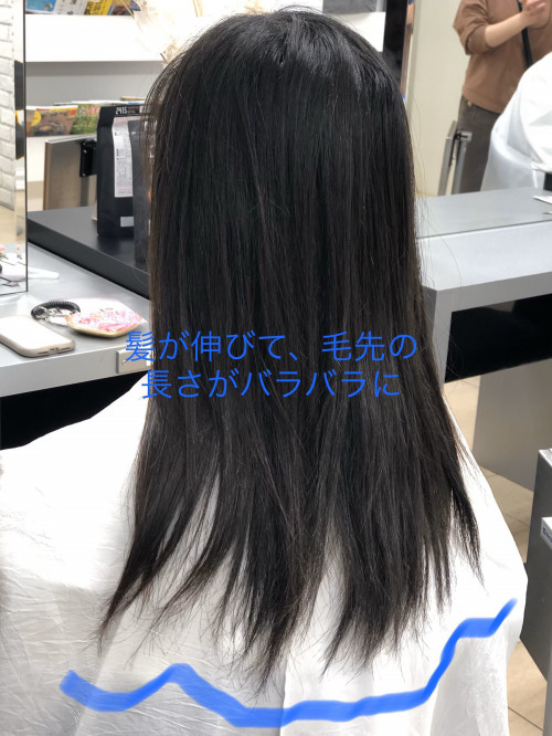 綺麗なロングヘアーを目指してる方にオススメ 美容室 Ash 稲田堤店 ブログ