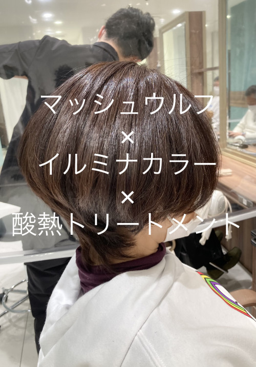 ツヤツヤ最強メニューでマッシュウルフカット 美容室 Ash 武蔵境店 ブログ ツヤツヤ最強メニューでマッシュウルフカット 美容室 Ash 武蔵境店 ブログ
