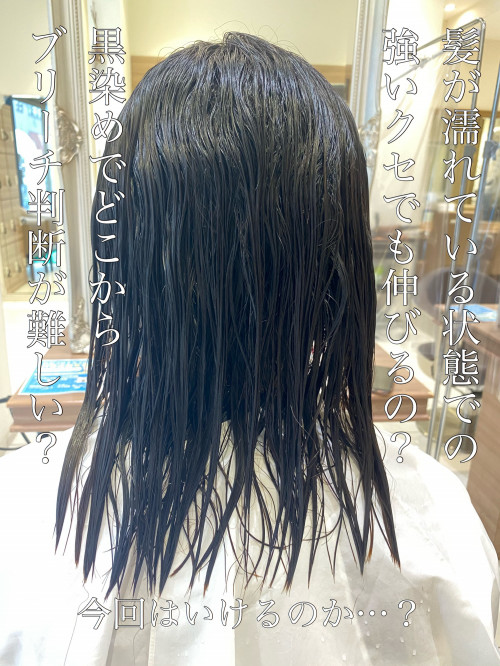 どんな髪質も綺麗なストレートにできる酸性ストレートが凄すぎる件 美容室 Ash 幡ヶ谷店 ブログ どんな髪質も綺麗なストレートにできる酸性ストレートが凄すぎる件 美容室 Ash 幡ヶ谷店 ブログ