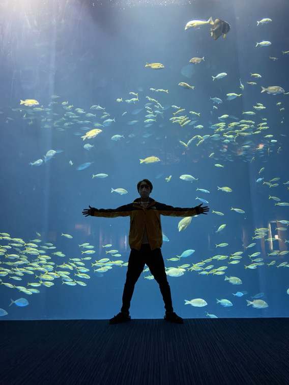 我 魚顔ナリ 徳島市住吉四丁目 藤井理髪店