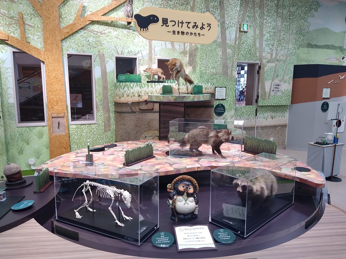 0041304e3ccd0f64558e58e1d91d32