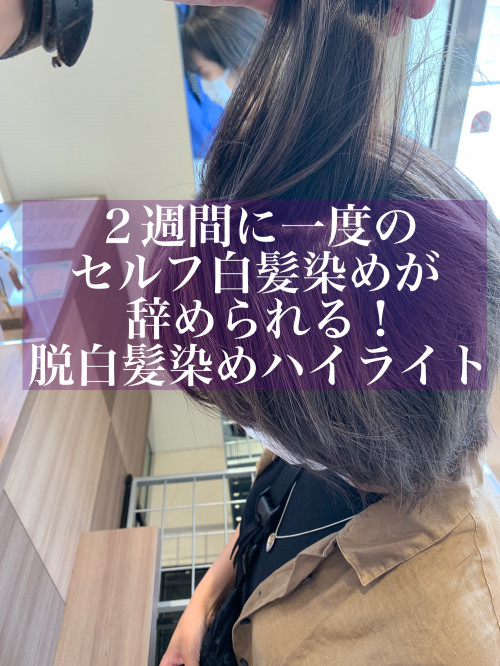 ２週間に一度のセルフ白髪染めが辞められる 脱白髪染めハイライト Ash 戸田公園店 ブログ
