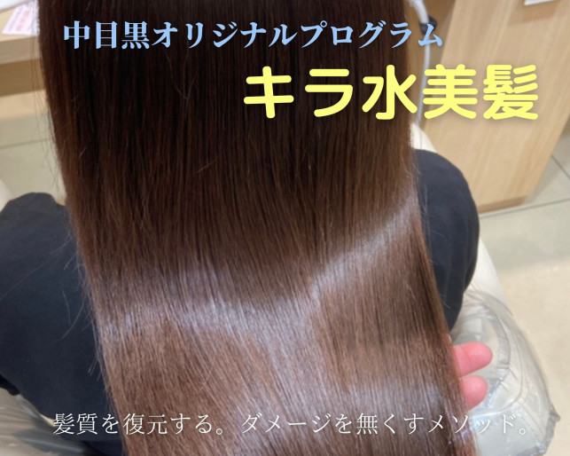 キラ水美髪 を導入して 1ヶ月が過ぎて思うこと Ash 中目黒店 ブログ キラ水美髪 を導入して 1ヶ月が過ぎて思うこと Ash 中目黒店 ブログ