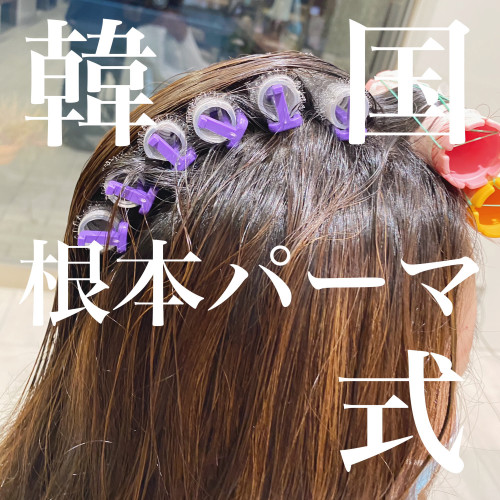 韓国式根元パーマ Ash 池上店 ブログ 韓国式根元パーマ Ash 池上店 ブログ