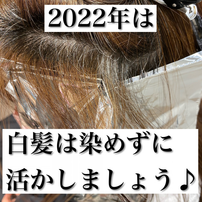 白髪染めを辞めたい方は見て下さい Ash 練馬店 ブログ