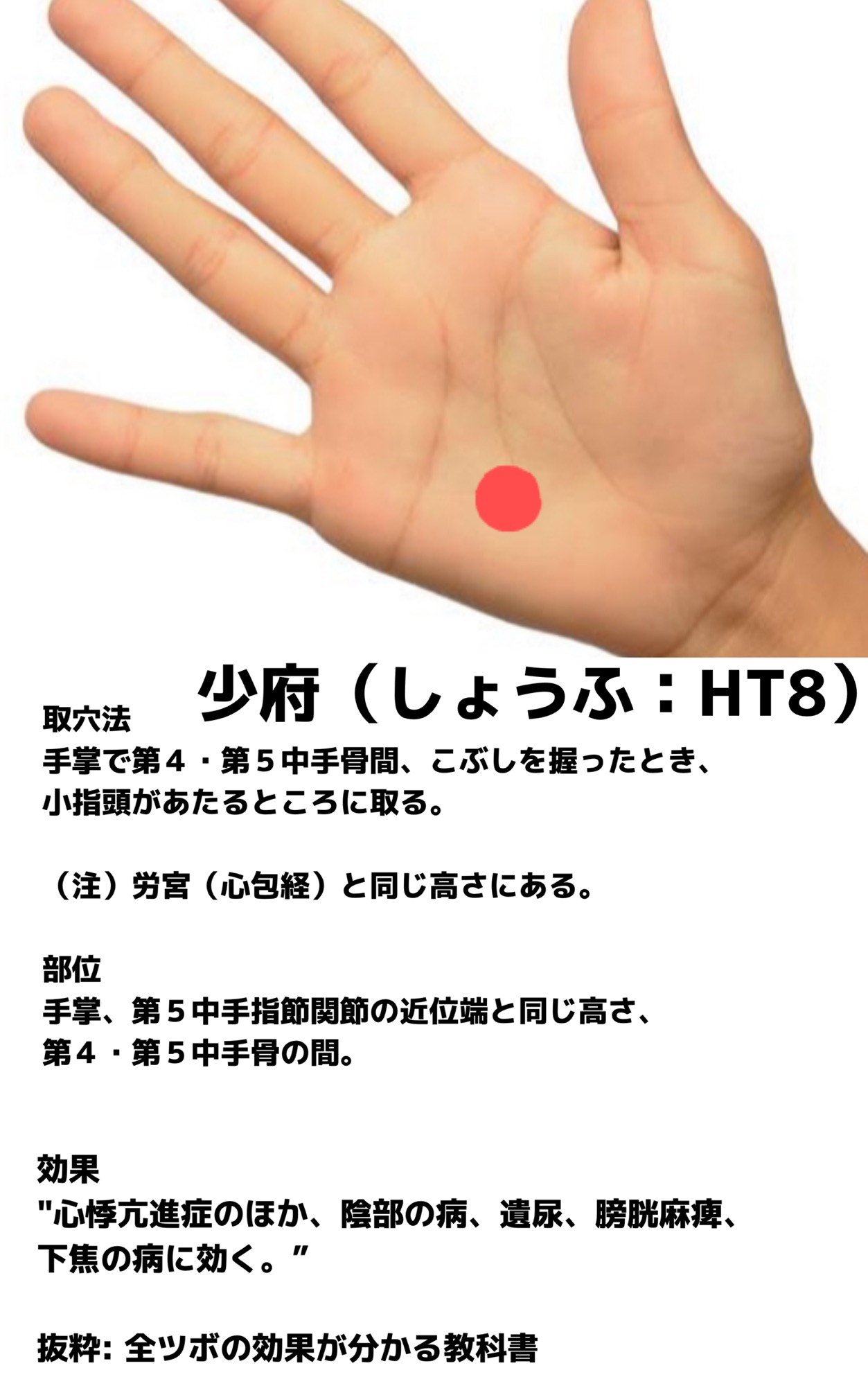 少 少府(しょうふ) | オンラインはりきゅう院るーつ