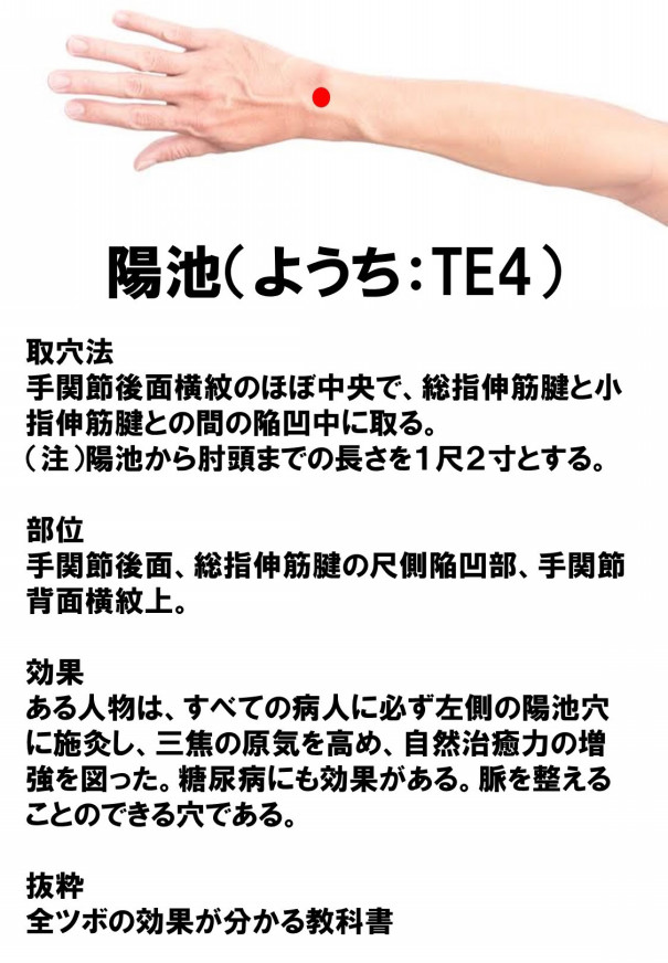 陽池 ようち 日本初 ツボを処方するオンライン東洋医学クリニック