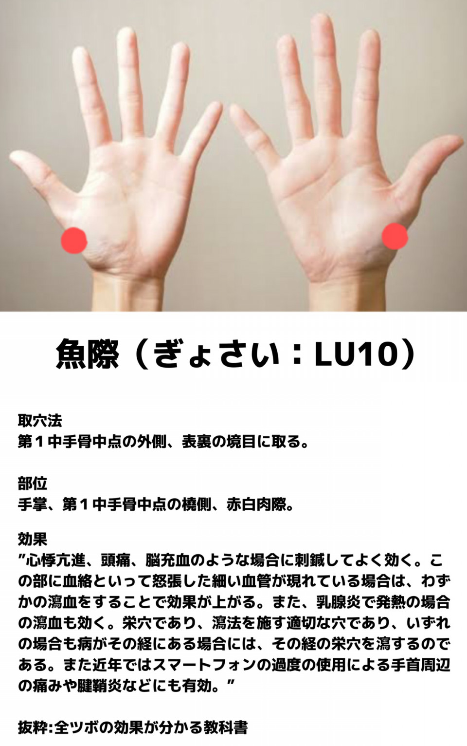 Images Of 魚際穴 Japaneseclass Jp