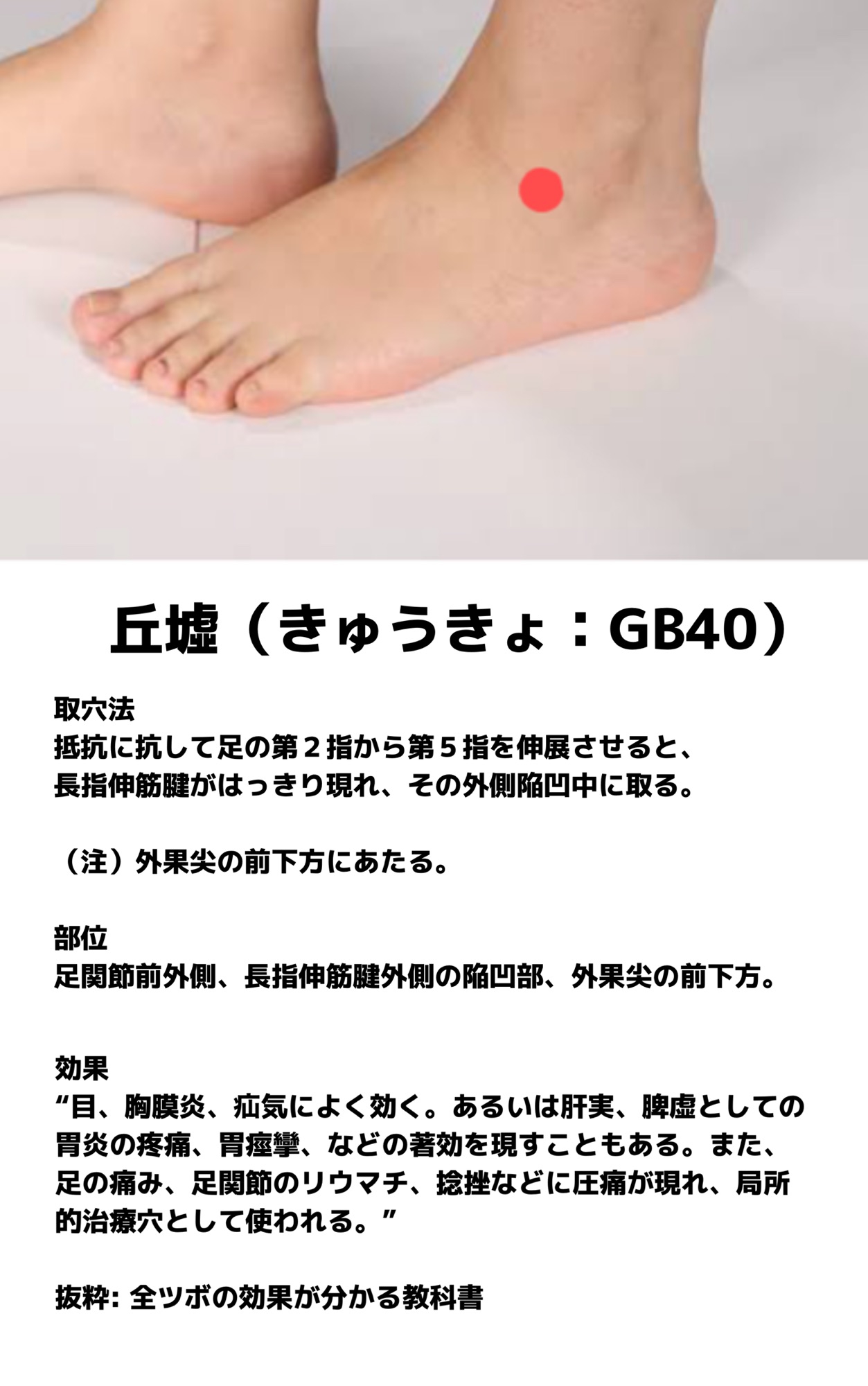 丘墟(きゅうきょ) | オンラインはりきゅう院るーつ