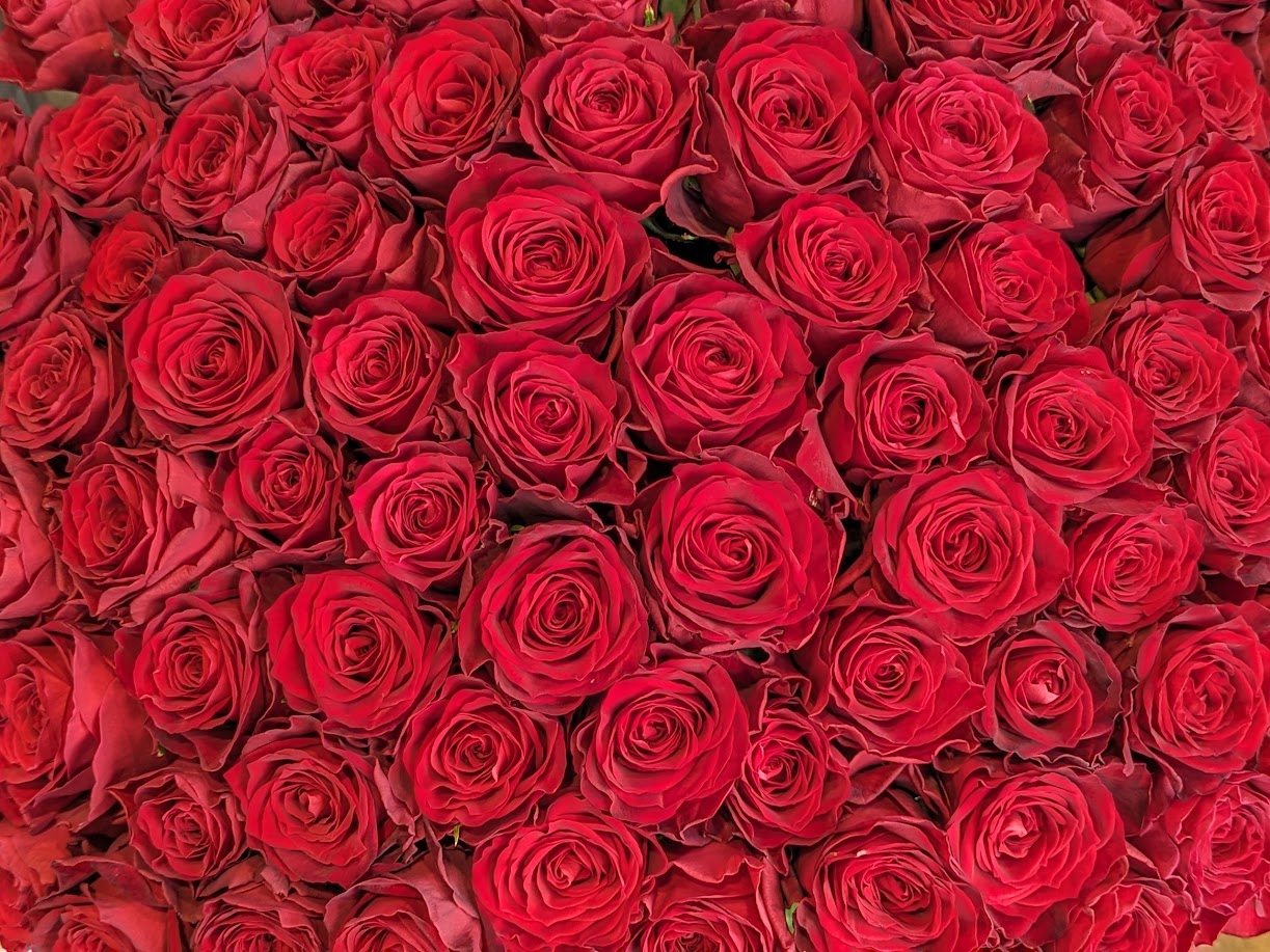 お取り扱い商品 | 花文-HANABUN-