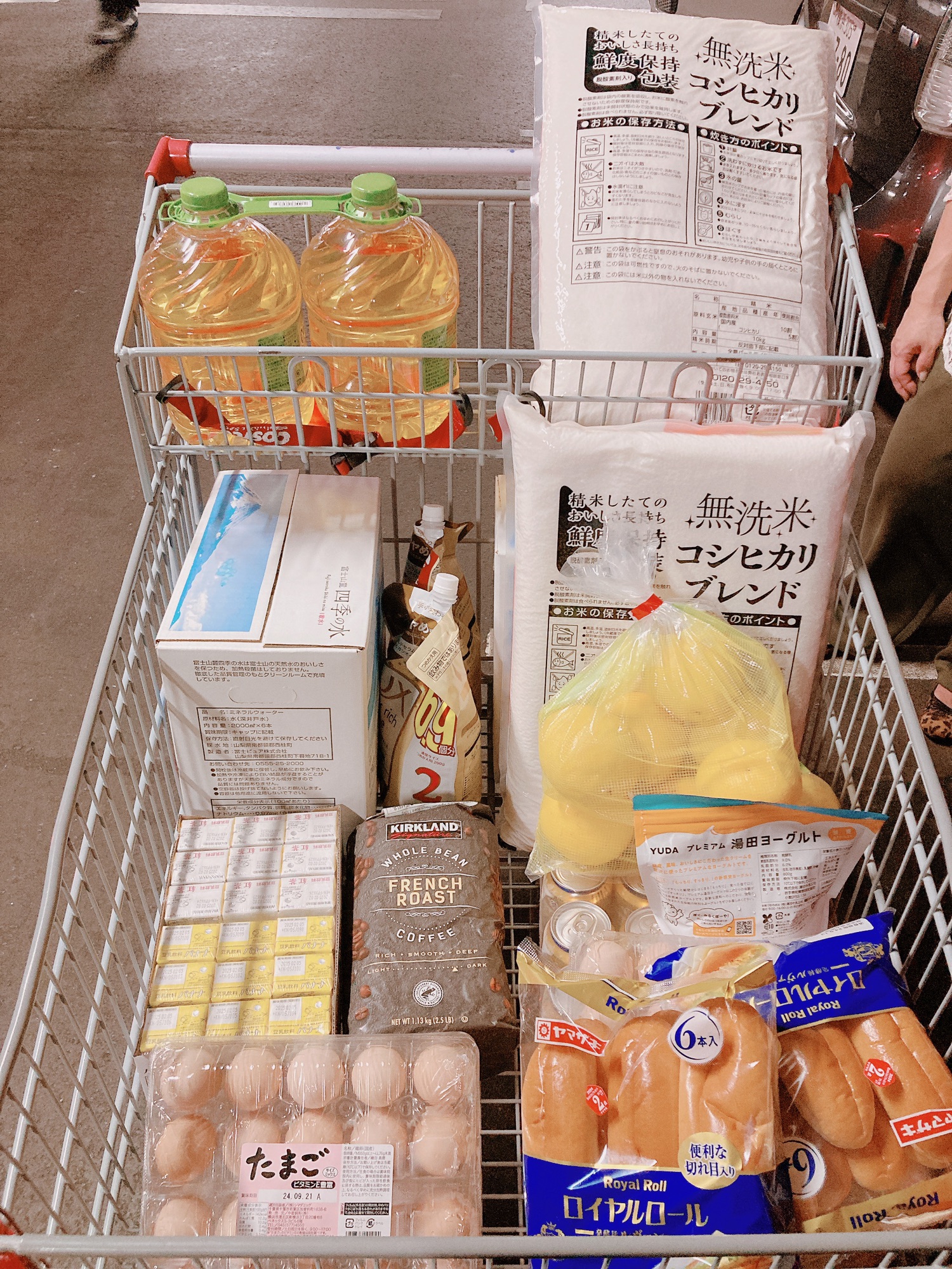 今週のコストコ☆240910 | チェリーハイツ
