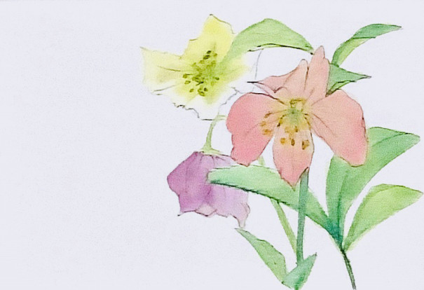 イラストac イラストレーターやっこちゃん として登録 Color Flower 美文字 By彩華 イラストac イラストレーターやっこちゃん として登録 Color Flower 美文字 By彩華