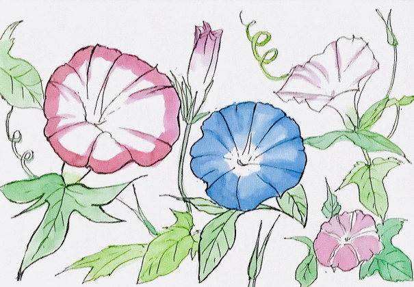イラストac イラストレーターやっこちゃん として登録 Color Flower 美文字 By彩華 イラストac イラストレーターやっこちゃん として登録 Color Flower 美文字 By彩華