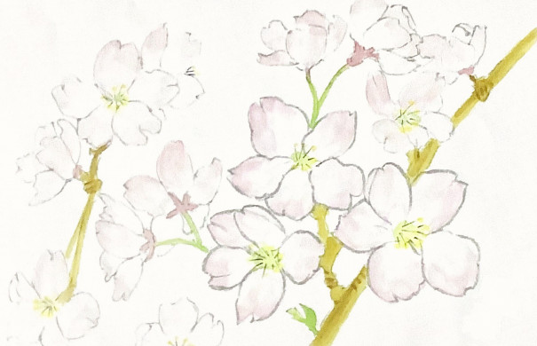 イラストac イラストレーターやっこちゃん として登録 Color Flower 美文字 By彩華 イラストac イラストレーターやっこちゃん として登録 Color Flower 美文字 By彩華