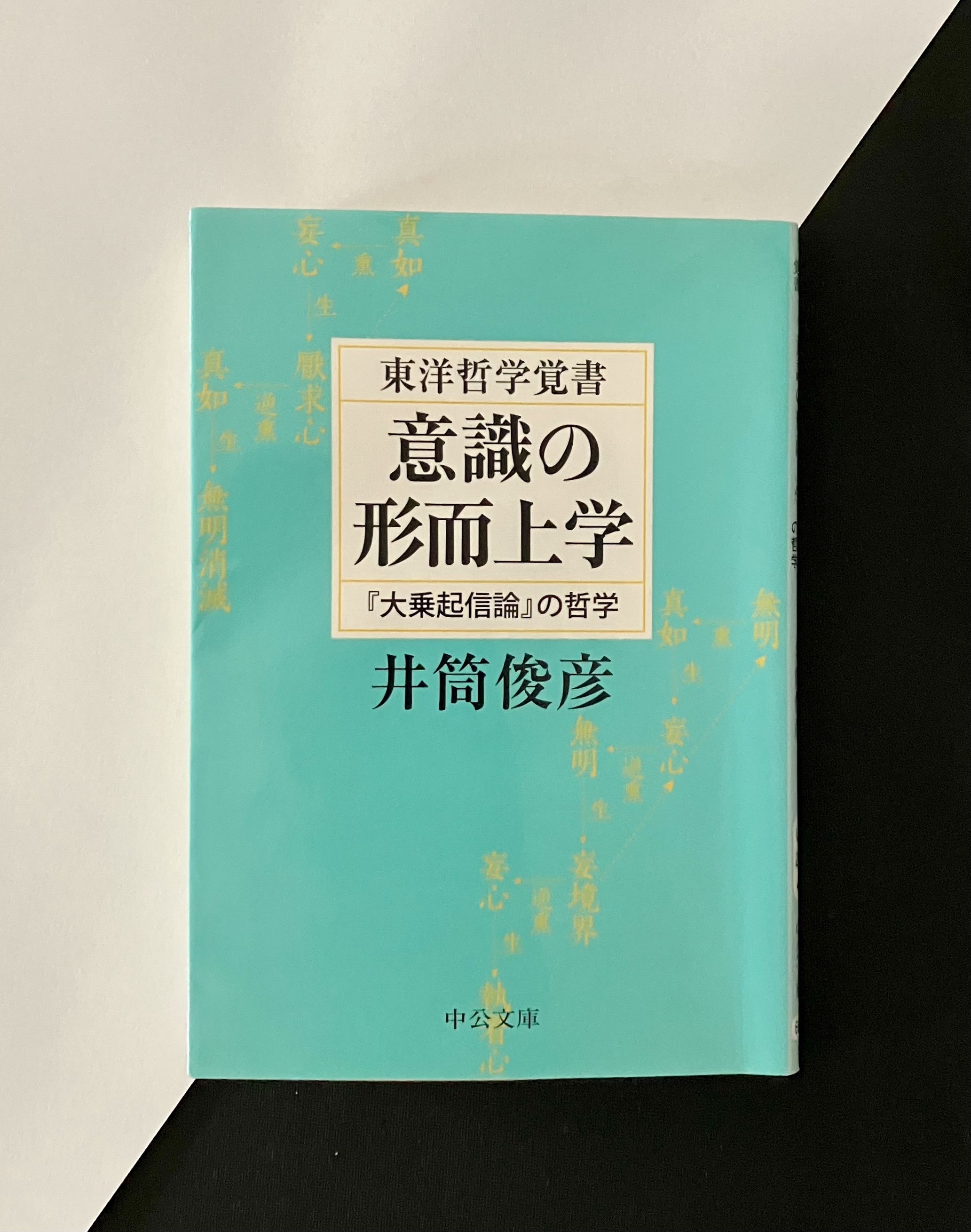 温故知新～今も昔も変わりなく～【書評・第128回】 大森荘蔵『知の