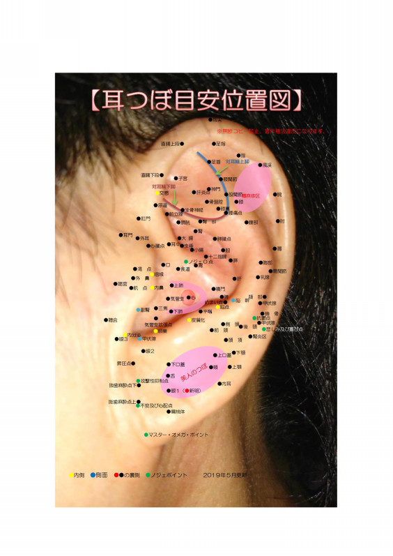 耳つぼ図解 効能 部位名称 つぼ選択 ザ 耳つぼ大阪本店