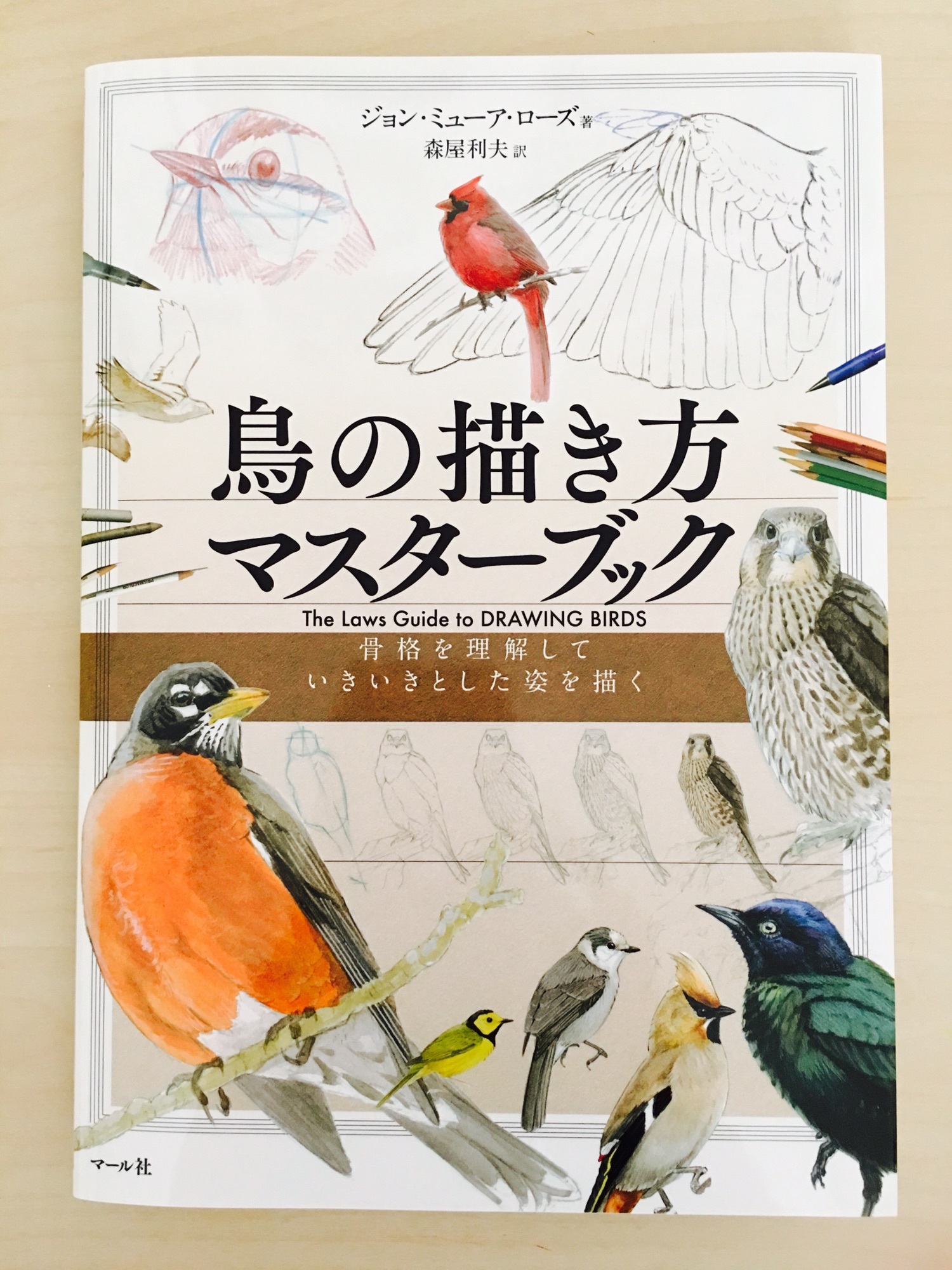 珍しい鳥の描き方本 鳥の描き方マスターブック Atelier Mana Season1