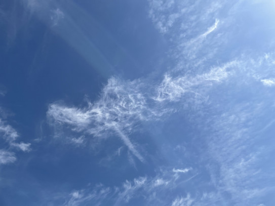 龍神雲にメンバーもあったぞ 遊限会社hiro Motors Japan