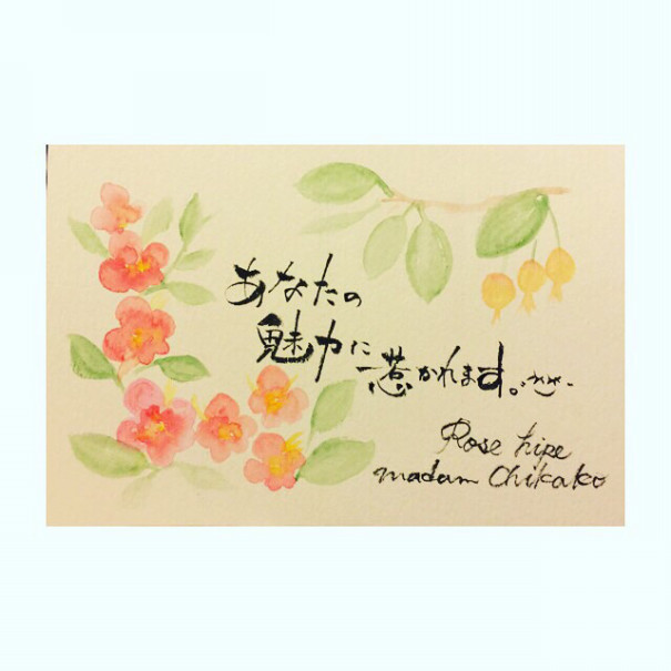 薔薇は玫瑰 ハマナスも玫瑰 いらっしゃいませ Cafe Bettyです 薔薇は玫瑰 ハマナスも玫瑰 いらっしゃいませ Cafe Bettyです