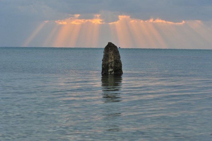 Zipang 4 Tokio うちなーぐち 沖縄語 は ユネスコの消滅危機言語に認定されています Nttドコモ みんなのうちなーぐち辞典 公開 Zipang 4 Tokio