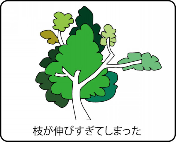 木の剪定 庭のお手入れ 辰乃原園 にわはら