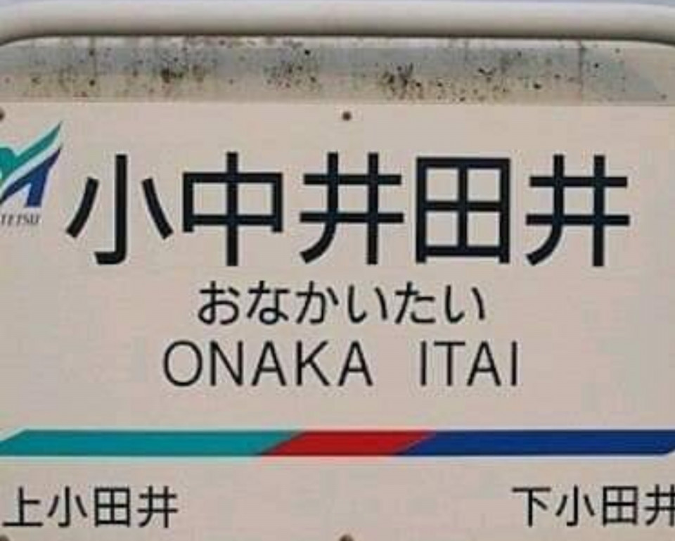 おおさか体操祭 ますます元気に