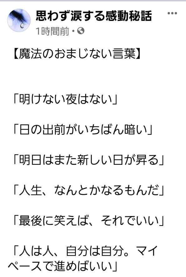 魔法の言葉 ますます元気に