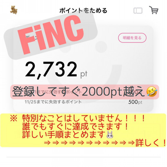 Finc フィンク ゆきうさ ポイ活 お得情報