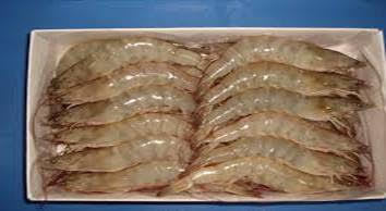Naturel Sea Tiger Shrimp And Other Products ｈｏｒｉｚｏｎ ｅｎｔｅｒｐｒｉｓｅｓ