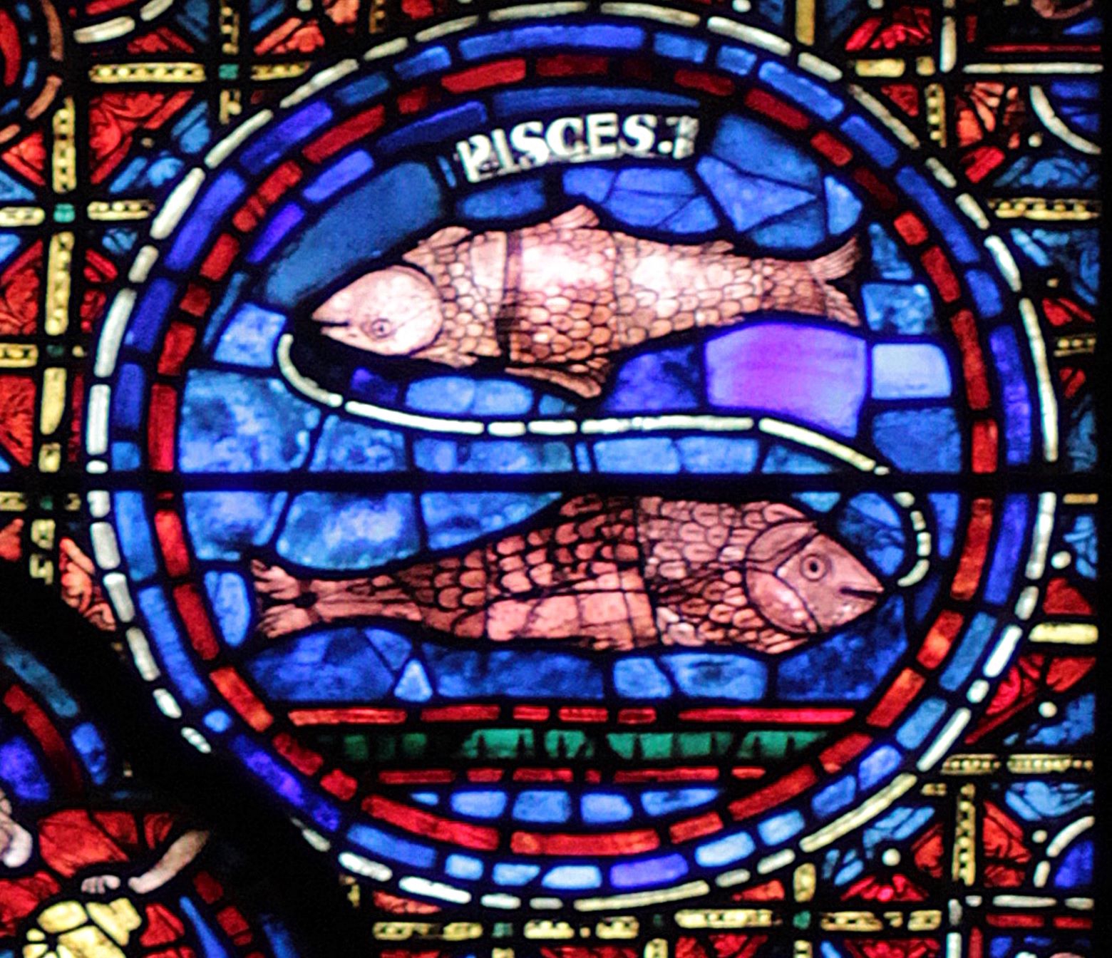 186e576a1a1602c1a3f739dee47bb9