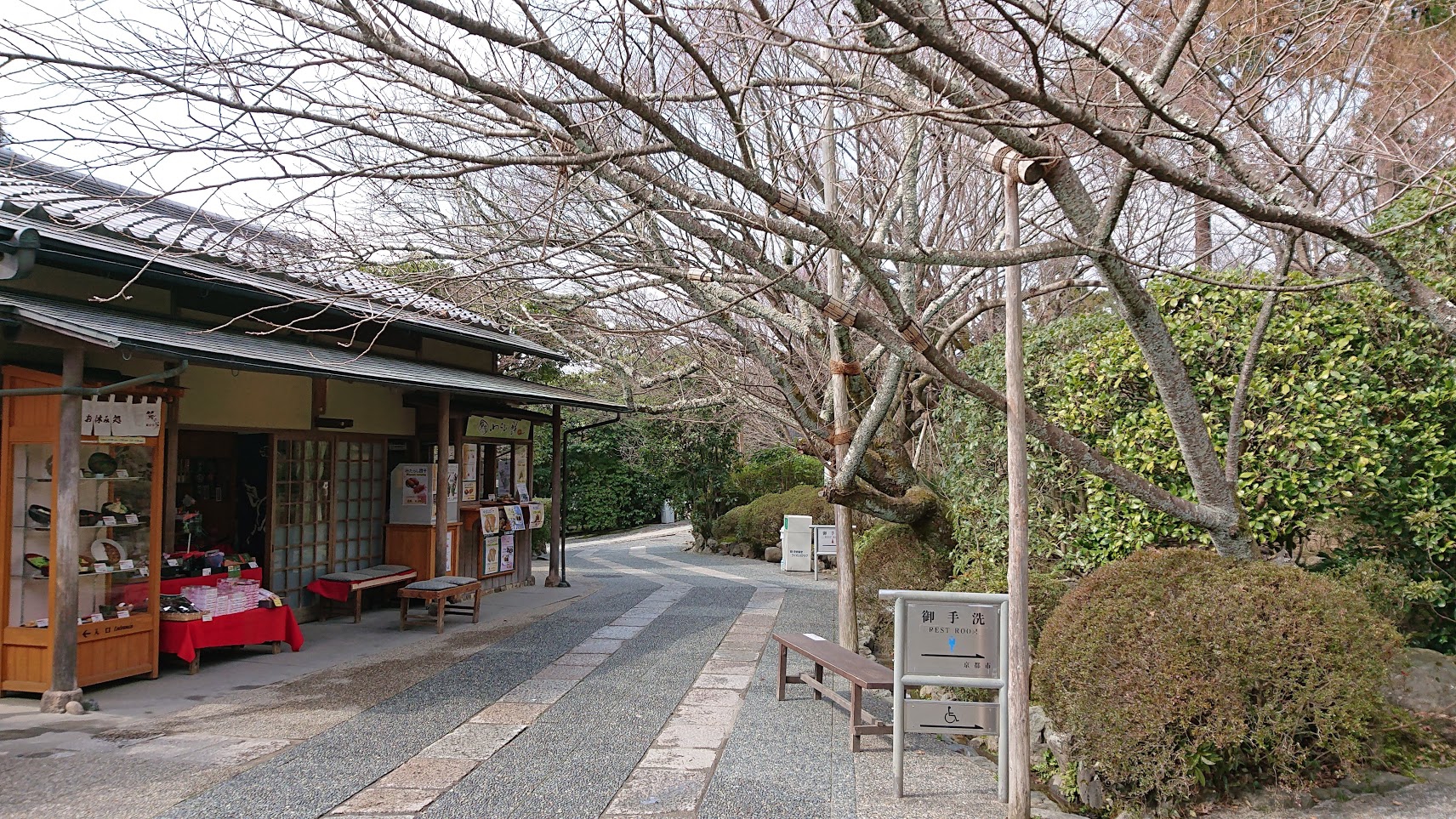 京都庭園散歩 龍安寺 19年3月 蒼いコスモス S Ownd