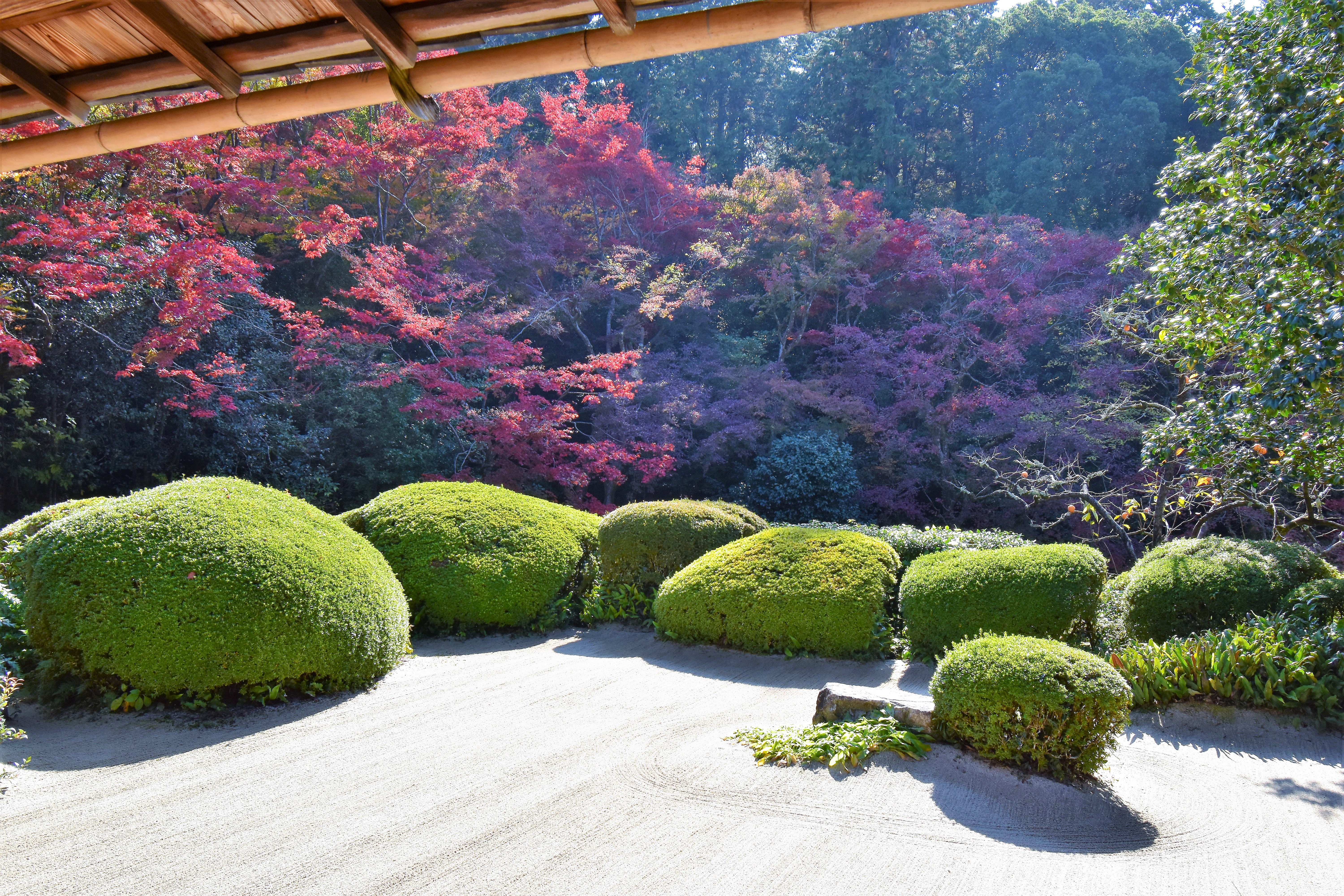 詩仙堂 額縁 京都庭園散歩 詩仙堂(2018年11月) | 蒼いコスモス's Ownd