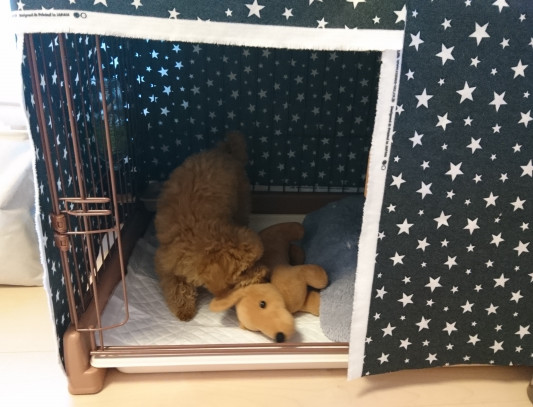 手作りケージカバー Little Flower