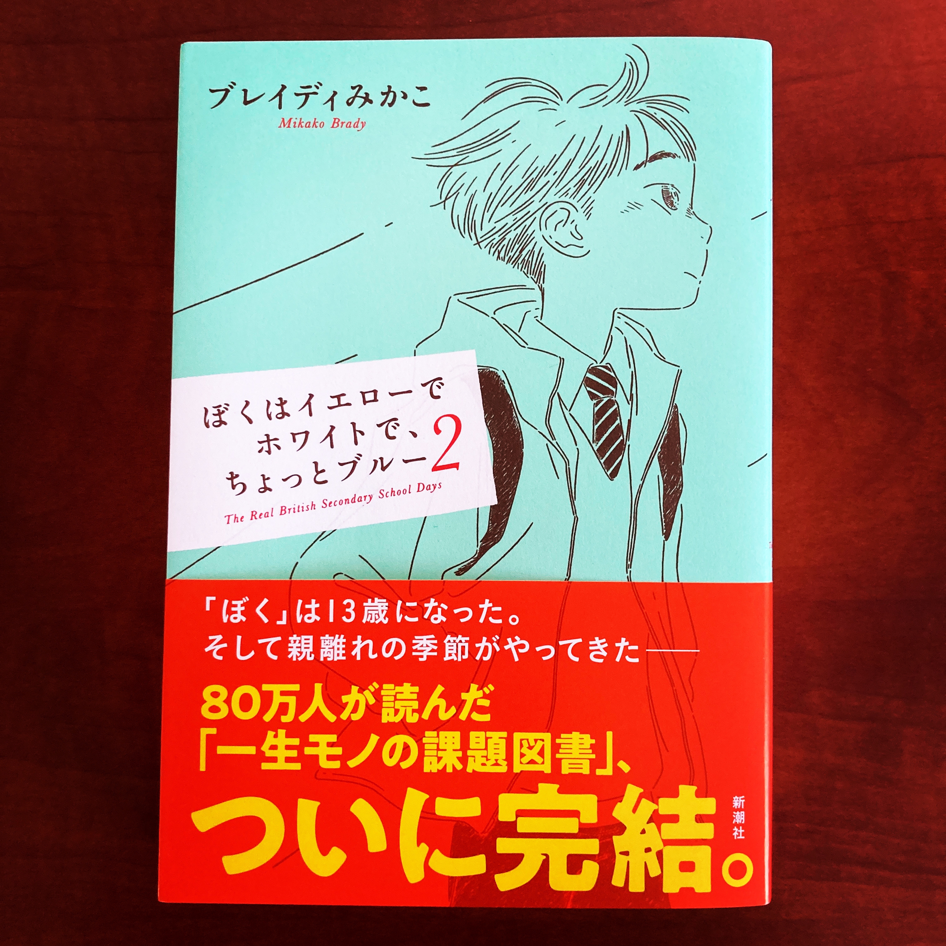 ブレイディみかこさんの『ぼくはイエローでホワイトで、ちょっとブルー ぼくはイエローでホワイトで、ちょっとブルー 2