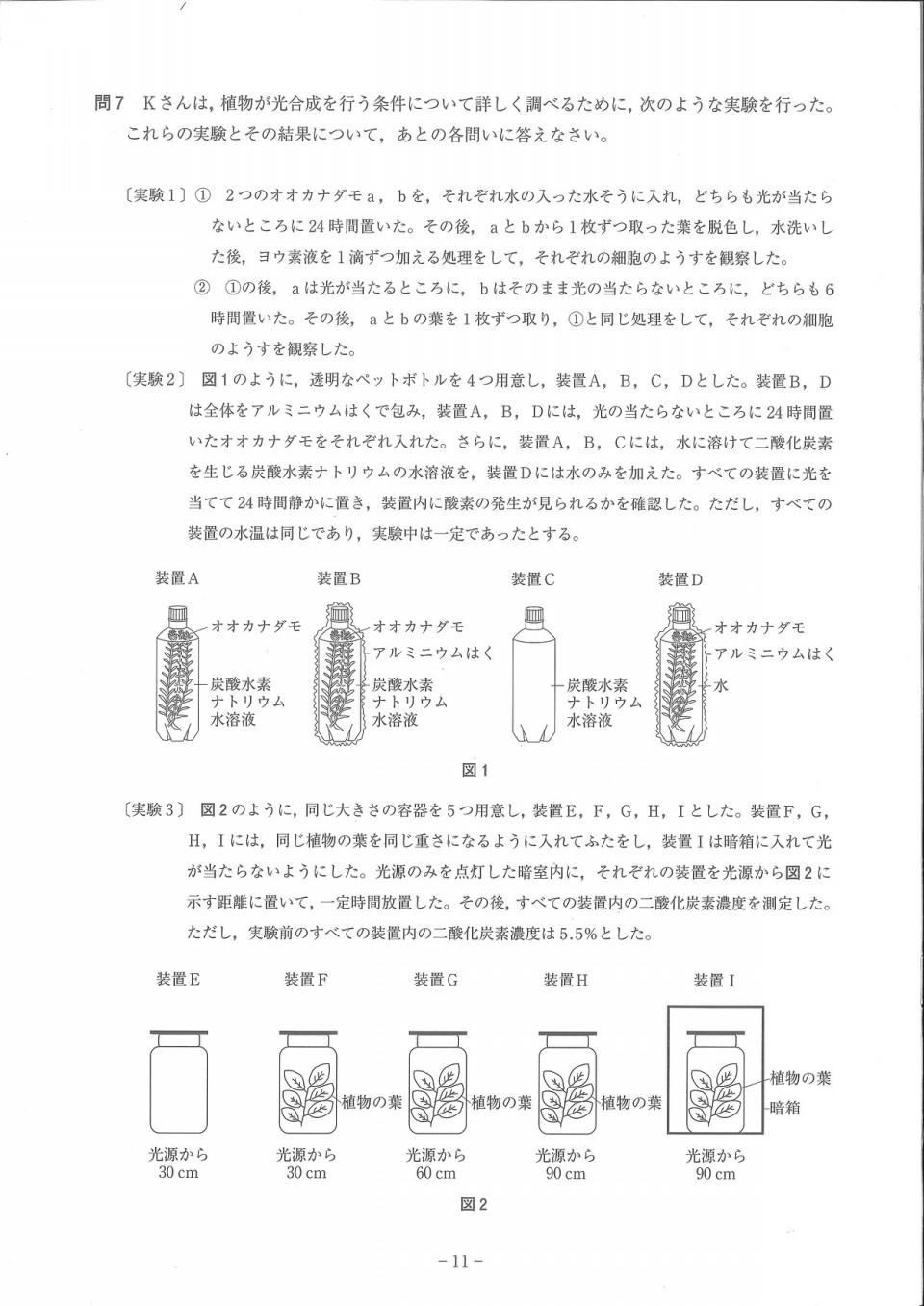 理科植物対策 大問先生の神奈川県立高校入試問題攻略法 第二の家 ブログ 藤沢市の個別指導塾のお話