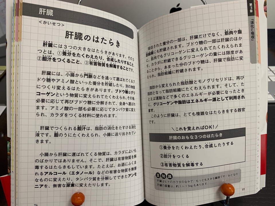 漫画 はたらく細胞 でよくわかる 細胞の教科書をオススメするよ 第二の家 ブログ 藤沢市の個別指導塾のお話