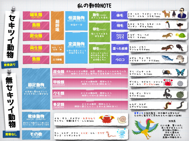 中２生物 動物の仲間わけ プリント ヤモリとイモリとタモリの違いがわかる表を作りました 第二の家 ブログ 藤沢市の個別指導塾のお話