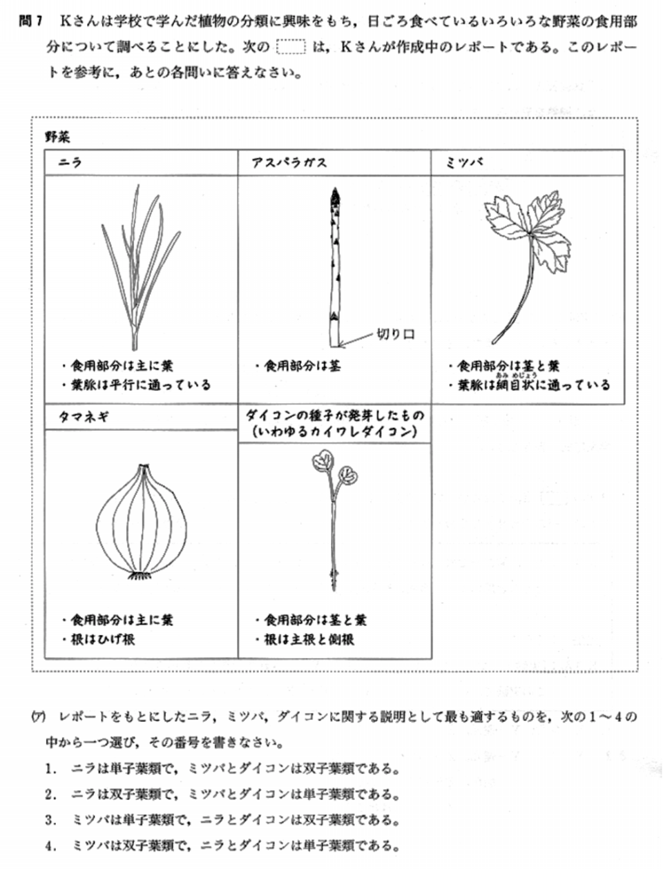 理科植物対策 大問先生の神奈川県立高校入試問題攻略法 第二の家 ブログ 藤沢市の個別指導塾のお話