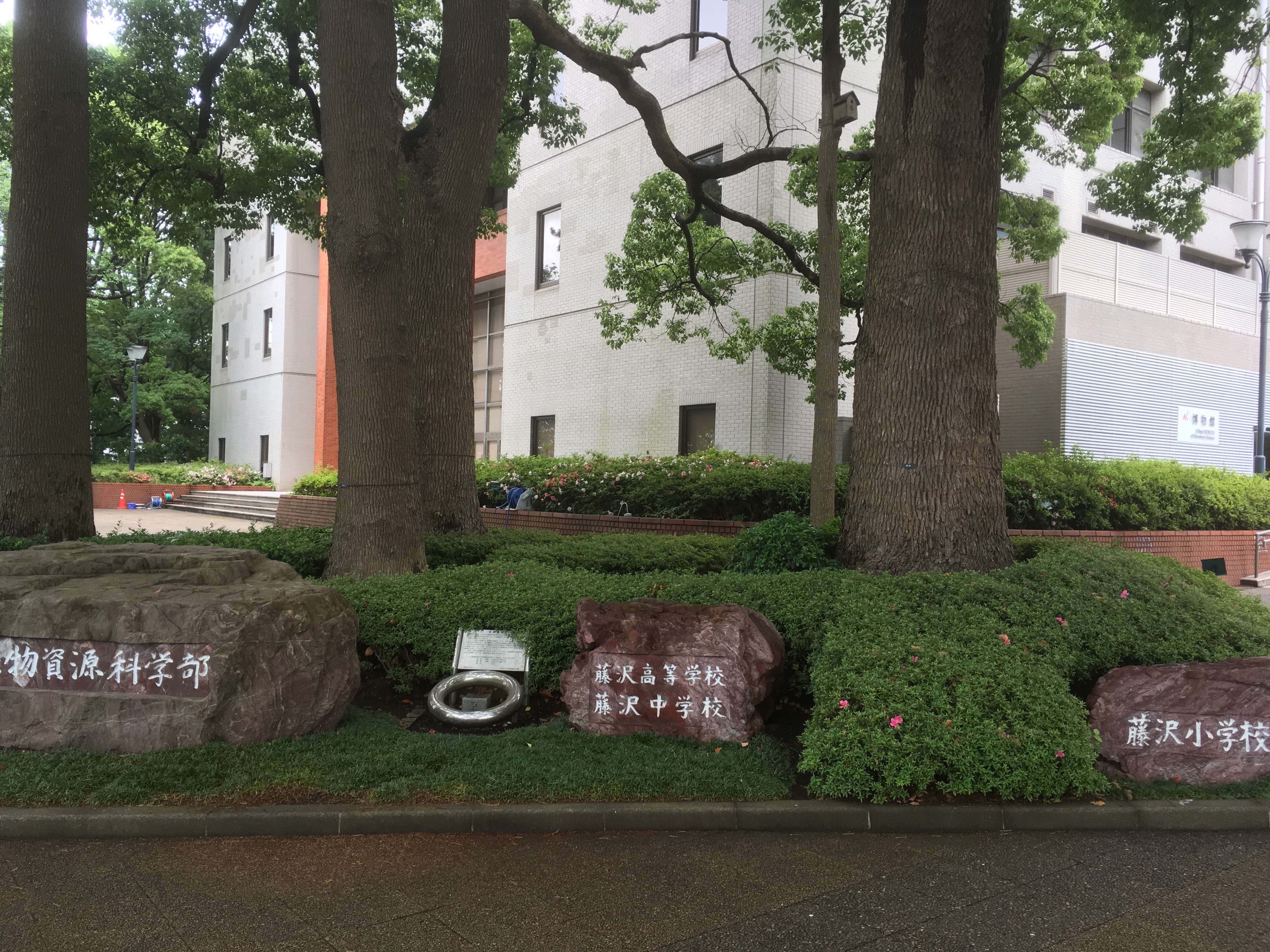 日本大学藤沢中学校・藤沢高等学校 学校指定コート - コート