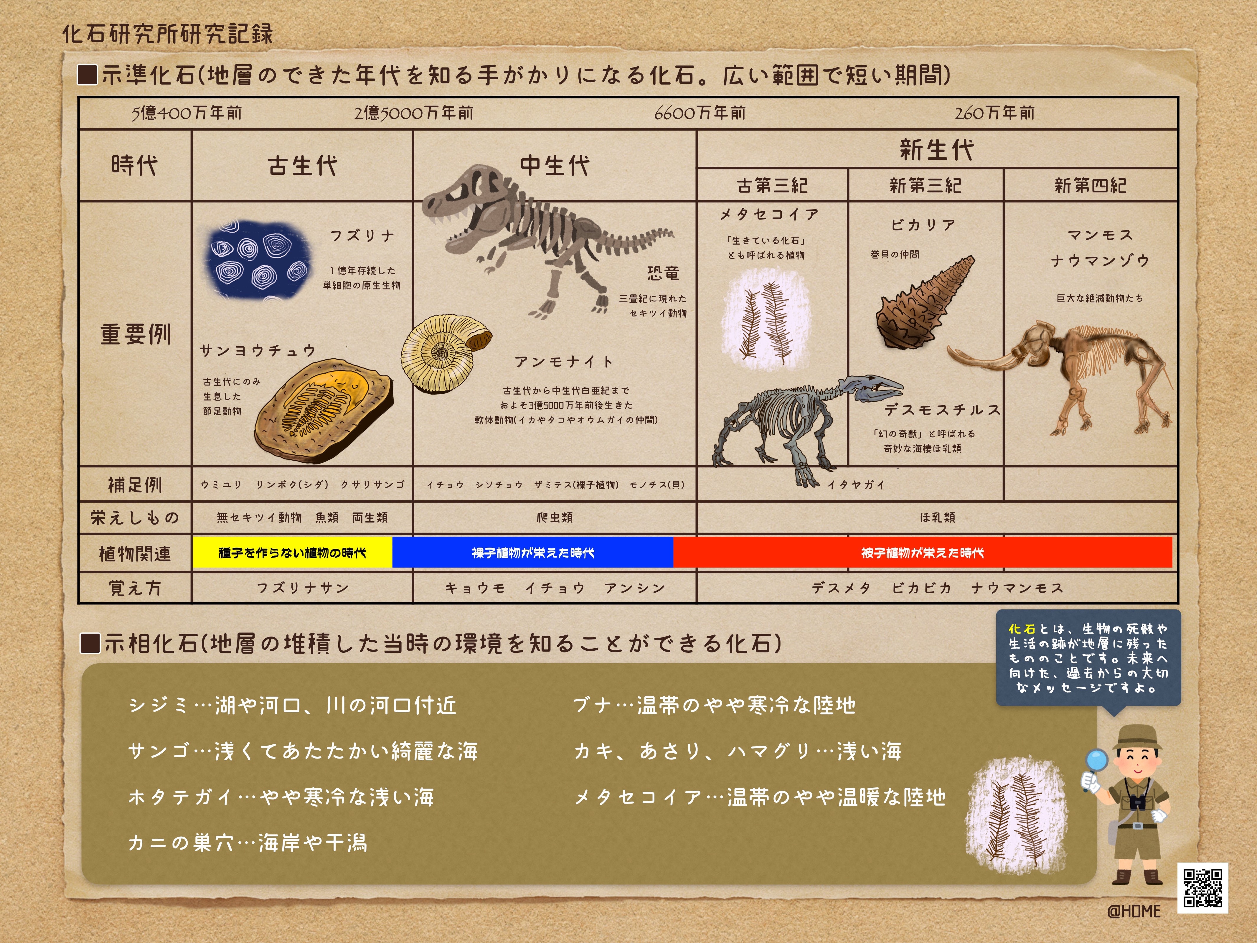 中学理科の示準化石や示相化石がわかる図表プリントから壮大な歴史に思いを馳せたお話 第二の家 ブログ 藤沢市の個別指導塾のお話