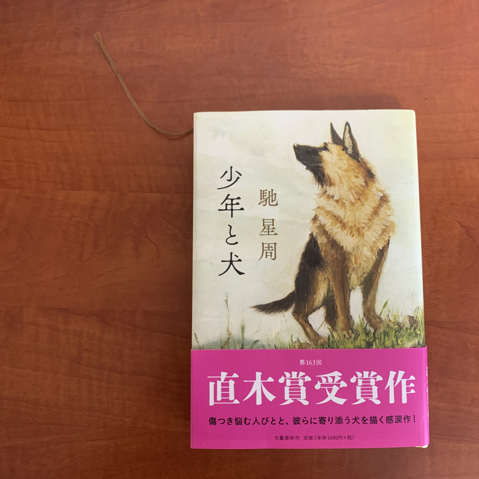 直木賞受賞 少年と犬 馳星周 を僕はなぜ手にとったのか ネタバレありの読書感想文 第二の家 ブログ 藤沢市の個別指導塾のお話