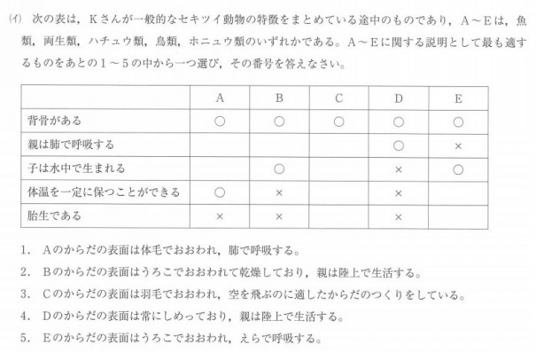 中２生物 動物の仲間わけ プリント ヤモリとイモリとタモリの違いがわかる表を作りました 第二の家 ブログ 藤沢市の個別指導塾のお話