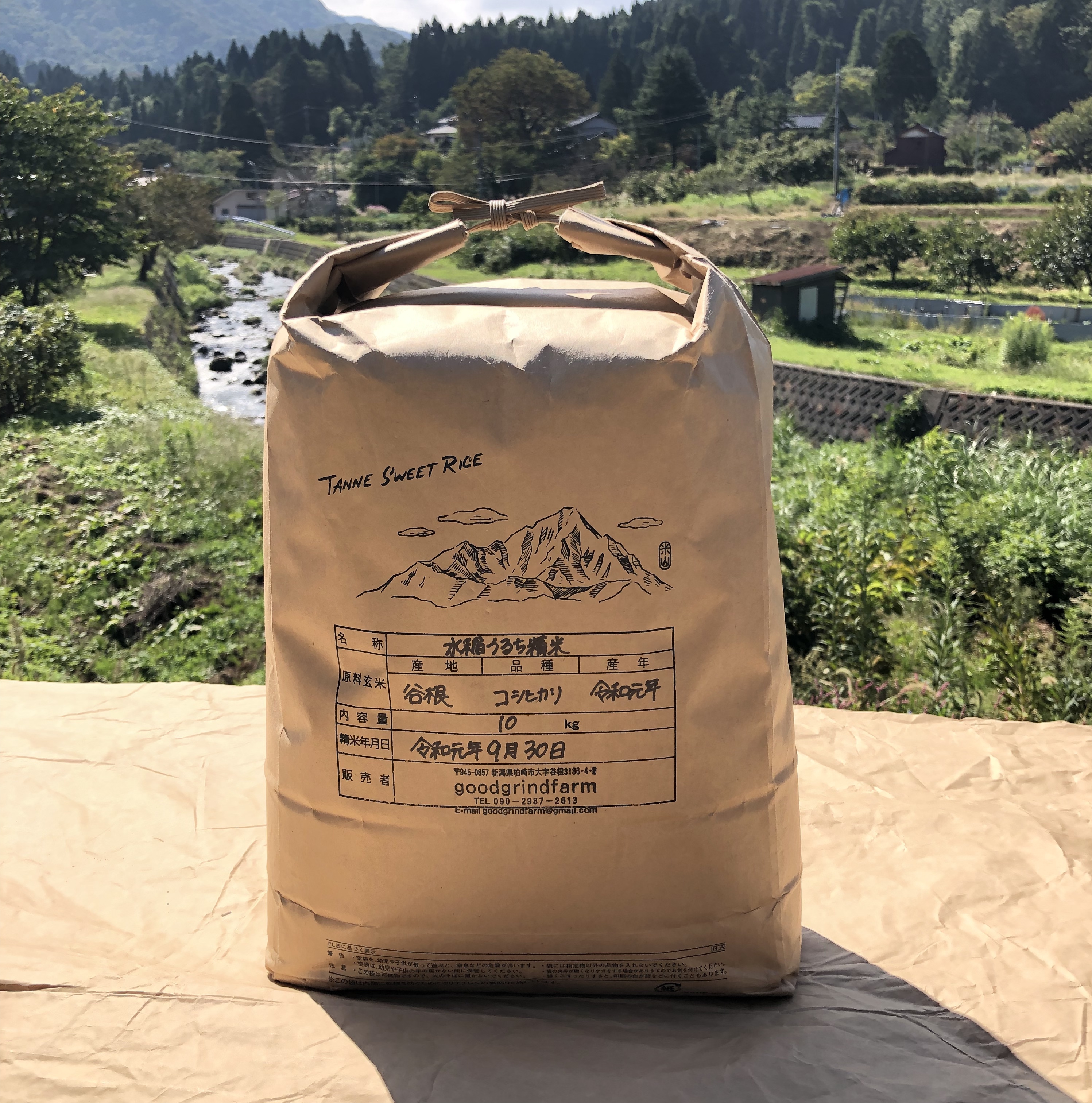 島根県産 コシヒカリ 10kg 送料無料】令和6年産 新米 産地直送 島根県産 仁多米 10kg