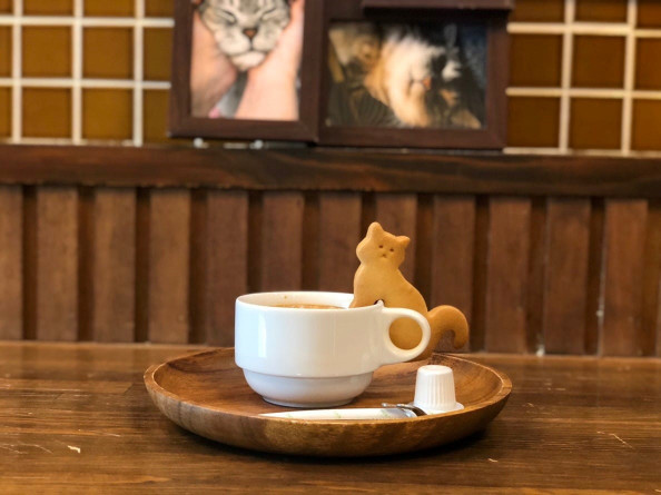 いちごや ねこ部 ねこカフェ 株式会社 いちごいち会 いちごや ねこ部 ねこカフェ 株式会社 いちごいち会