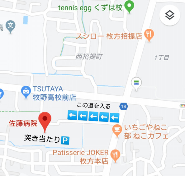 いちごや ねこ部 ねこカフェ 株式会社 いちごいち会 いちごや ねこ部 ねこカフェ 株式会社 いちごいち会